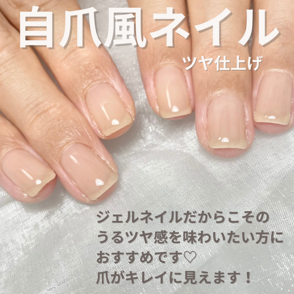 メニュー写真