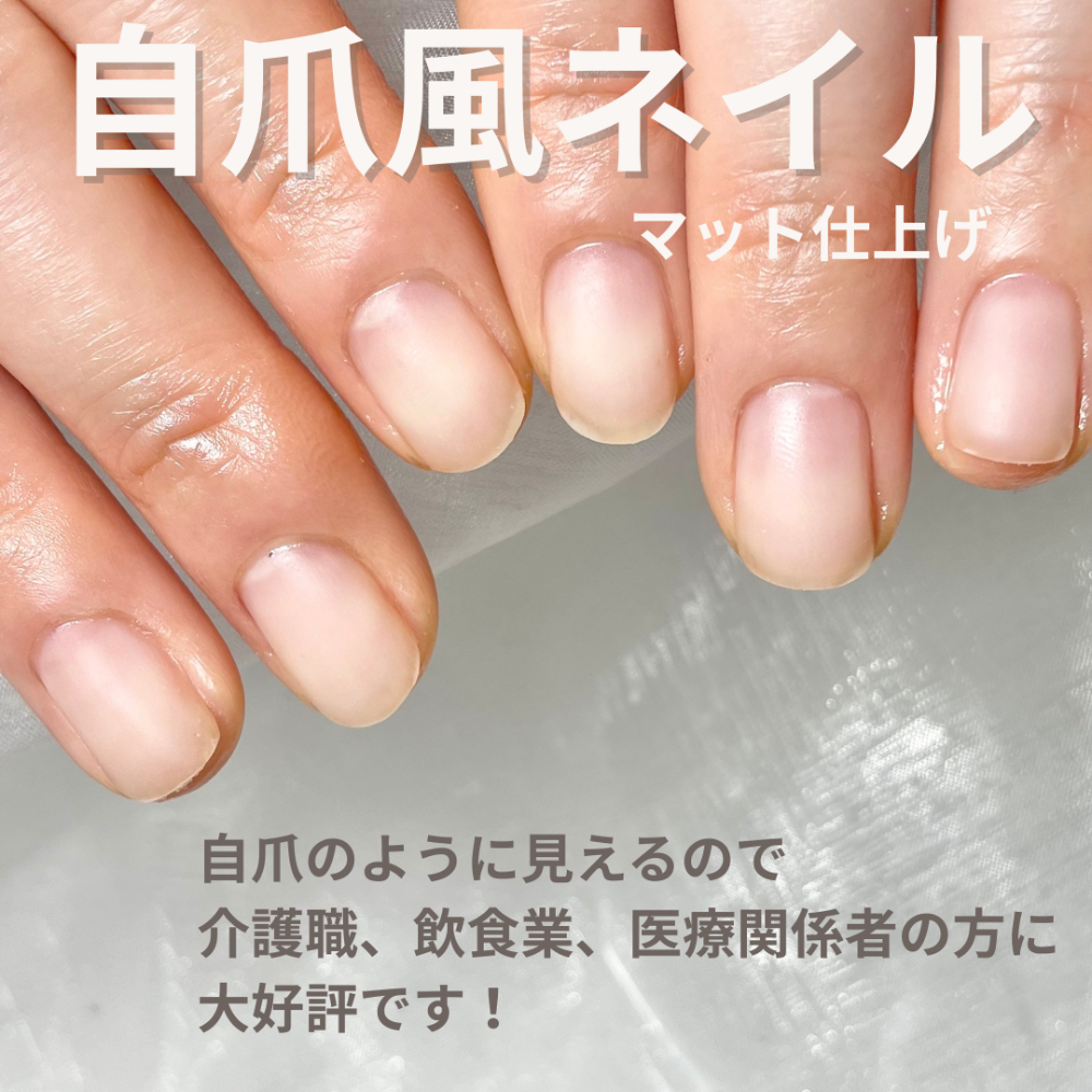メニュー写真